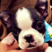 なおみ