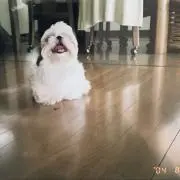 nanaの画像