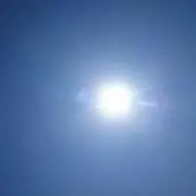 あひる隊長202号室