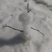 kinokoの画像