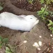 たっきータイムセール