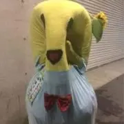 あっぷるの画像