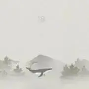 8/断捨離中~の画像