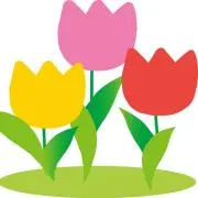 Tulip mamaの画像