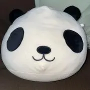 プロフィール必読⭐︎えっつんの画像