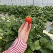 涙くん今日もおはようの画像