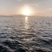 Mの画像