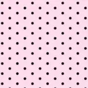 ୨୧⟡.·の画像