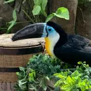 zzzの画像