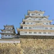 AG プロフィール必読