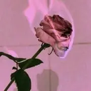 ma.