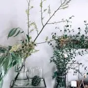みきの画像