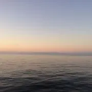 ポッポの画像