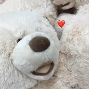 にころの画像