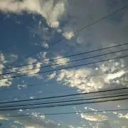 MI。