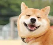 断捨離少々