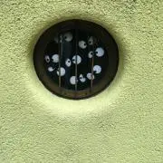 akiの画像
