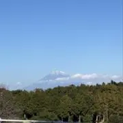 フクの画像