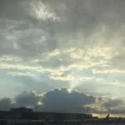 Vの画像