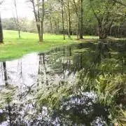 kazeの画像