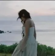 LMMの画像