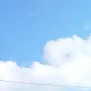 ゆうの画像