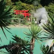 Jacksonの画像