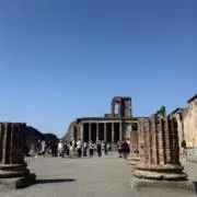 (=^・^=)の画像