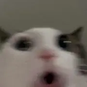 さの