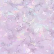 らうらの画像