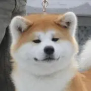 USER [3/15まで発送不可]の画像