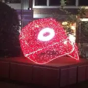 タカ