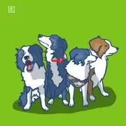 ゆきち。