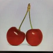 K'sの画像