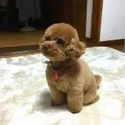 こうの画像