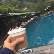 生茶