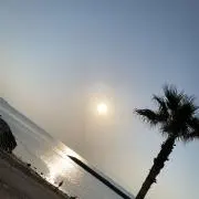 忍者