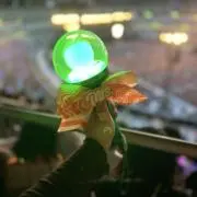 ぼんちゃんの画像