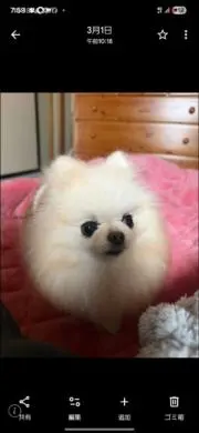 nori(☆∀☆)の画像