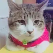 poko