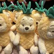 みーこ　⭐︎プロフ必読の画像
