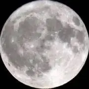 深夜子の画像