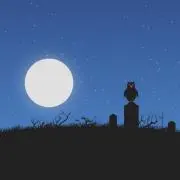 ネコ