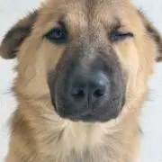 中の画像