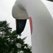 どろろの画像