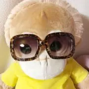 ☆ころすけ☆