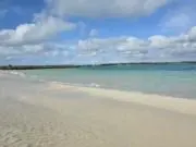 ぽよまるの画像
