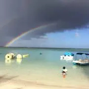 にこきー