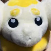⭐︎⭐︎⭐︎の画像
