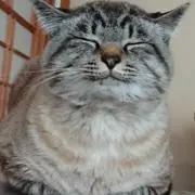 ドキドキ